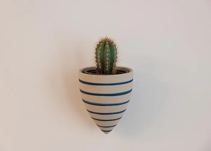 Apartment Moderno Y Lujoso En El Historico Casco Viejo